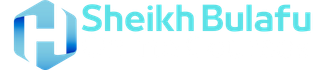 system logo